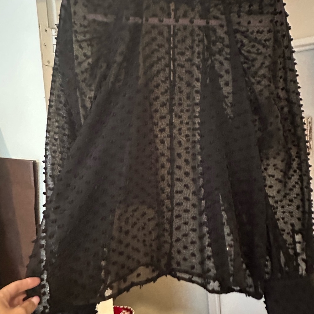Zara Black Sheer Raised Polka Dot Ruffled Top